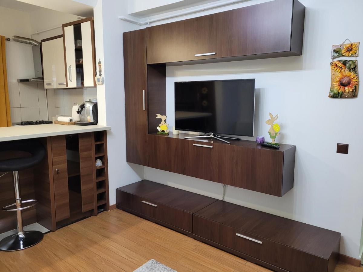 Andi Apartment Sibiu Extérieur photo